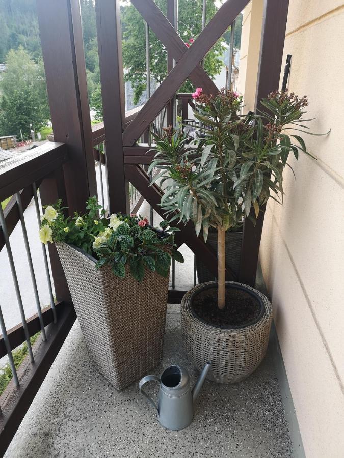 Kozel 1 Apartment Janske Lazne Bagian luar foto