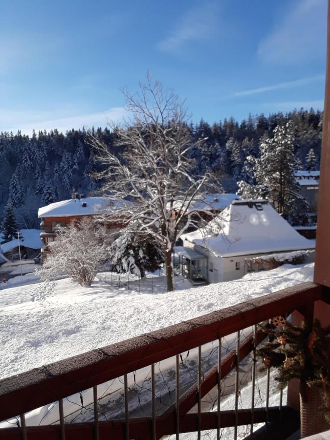 Kozel 1 Apartment Janske Lazne Bagian luar foto
